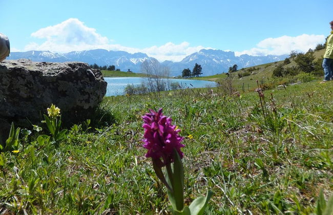 VVF Les Ecrins Champsaur, Saint Bonnet en Champsaur - Foto 35