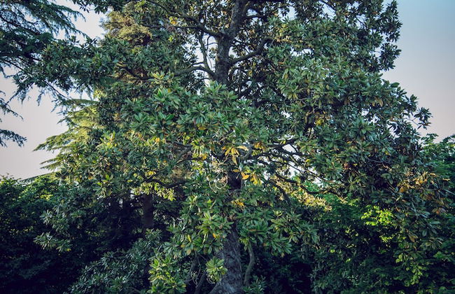 Corte Finzi - Foto 50