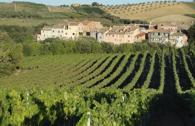 Agriturismo la Valle di Ceri - Foto 43