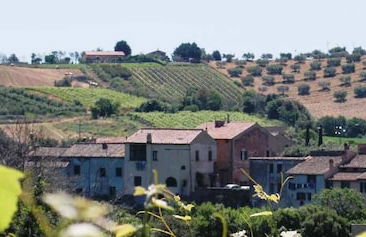 Agriturismo la Valle di Ceri - Foto 52