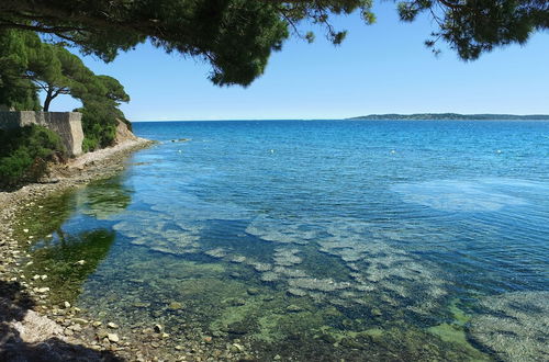 Photo 19 - VVF Golfe de Saint-Tropez, Sainte Maxime