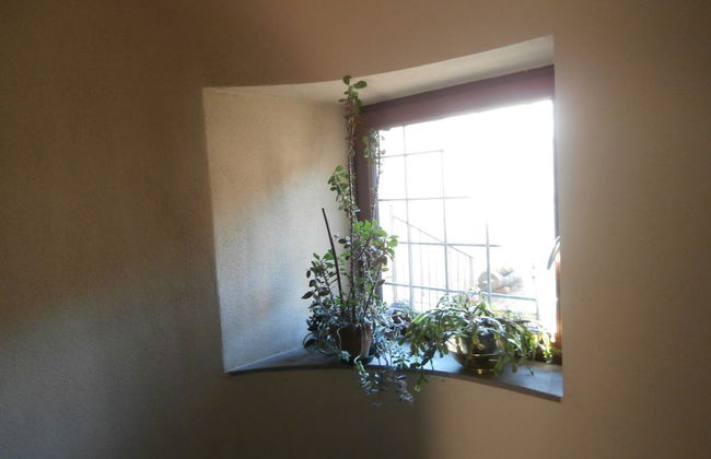 Agritur La Gemma - Foto 5