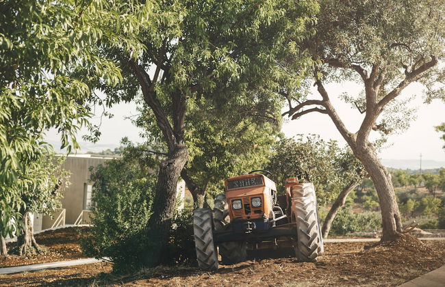 Country House Villadorata - Foto 50