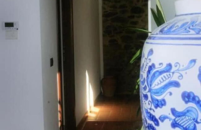 Agriturismo Le Selve - Foto 6