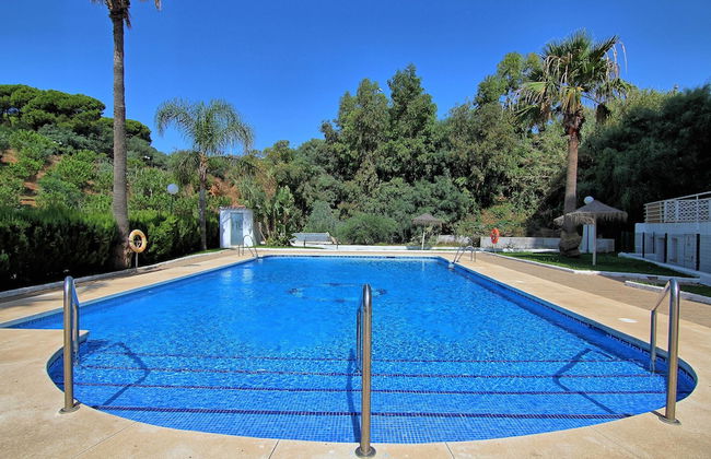 Luna Beach Studio 210 - Photo 15
