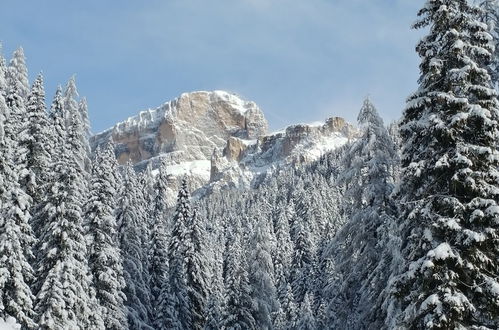 Photo 17 - Casa del Bosco