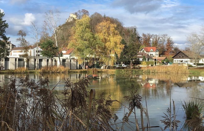La Maison des Fontaines D'alsace - Foto 42