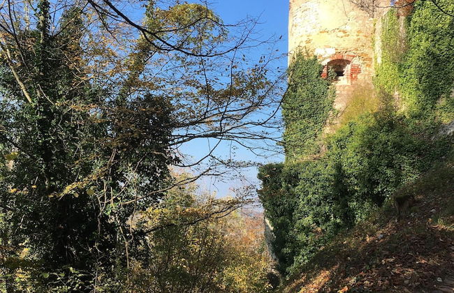 La Maison des Fontaines D'alsace - Foto 21