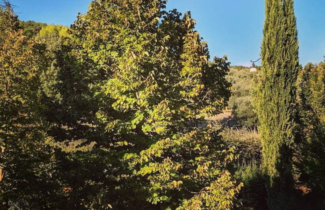 La Fonte di Montebuono - Foto 64