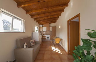 Photo 2 - A14 - Cozy Torraltinha Apartment