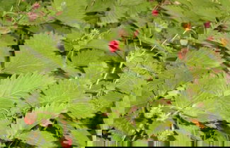 Photo 50 - L'infinito