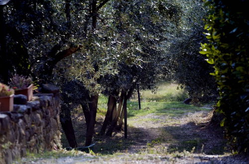 Photo 50 - Agriturismo Il Bellini