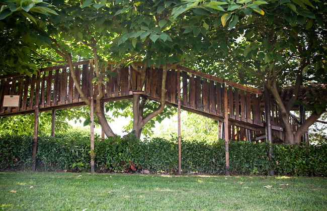 Agriturismo Ca' Vecia - Foto 46