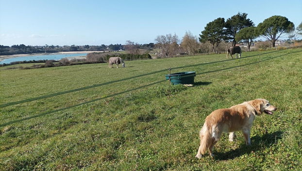 Comodidade do alojamento