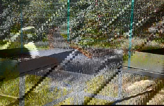 Hidden Garden Resort - Foto 28