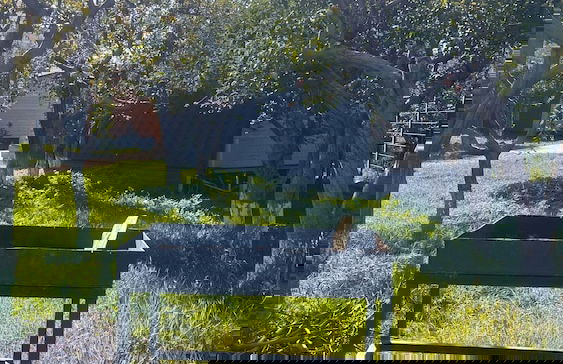 Hidden Garden Resort - Foto 30