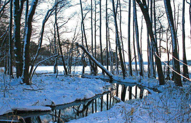 Bungalow am See mit Ruderboot in Klein Labenz - Photo 25