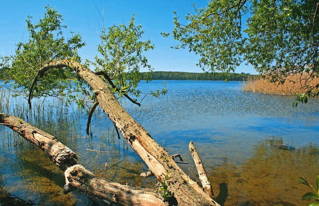 Bungalow am See mit Ruderboot in Klein Labenz - Photo 33