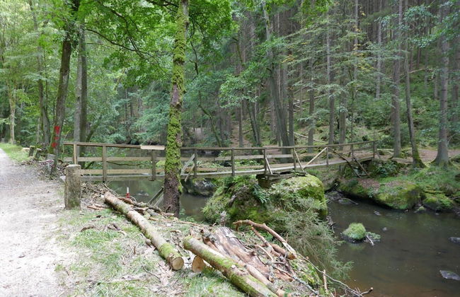 Ferienhaus in Wiek - Photo 13