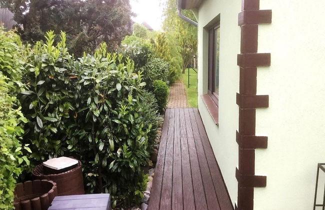 Ferienhaus in Wiek - Photo 10