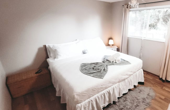 The Canary 223 - Foto 1