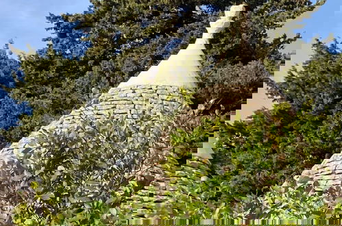 Photo 48 - Trulli Mimosa by Pugliadamare