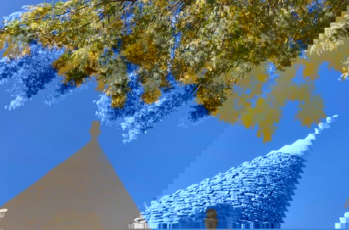 Photo 50 - Trulli Mimosa by Pugliadamare
