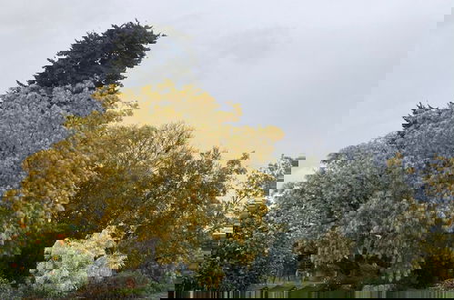 Photo 51 - Trulli Mimosa by Pugliadamare
