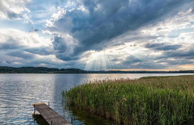 Eco-friendly Chalet Near the Lake in Asten - Foto 61
