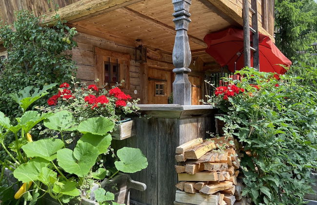 Eco-friendly Chalet Near the Lake in Asten - Foto 43