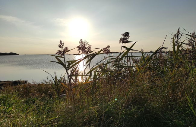 Haus am Merr auf Fehmarn OT Westerbergen - Photo 32