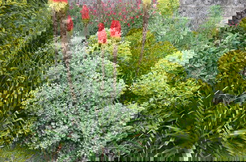 Photo 21 - Unusual Duplex With Garden