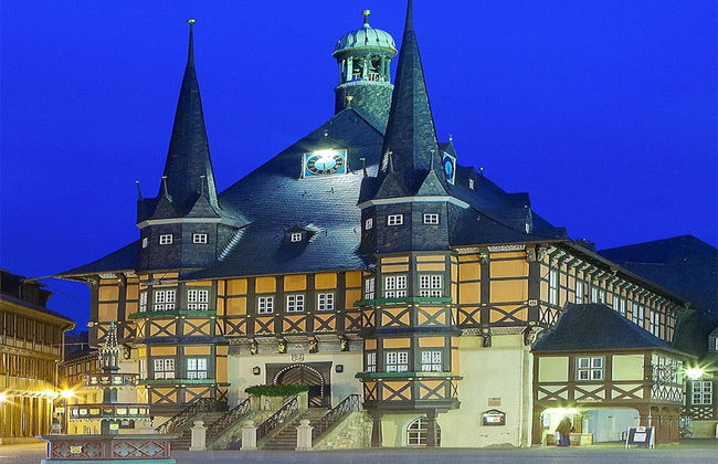 Ferienwohnung Remise, Wernigerode - Foto 8