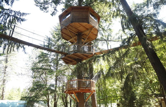 Out 'N' About Treehouse Treesort - Foto 5