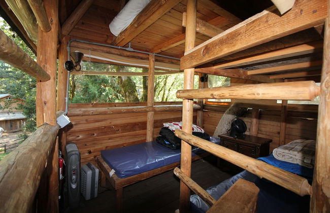 Out 'N' About Treehouse Treesort - Foto 34