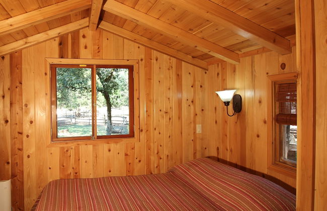 Out 'N' About Treehouse Treesort - Foto 33