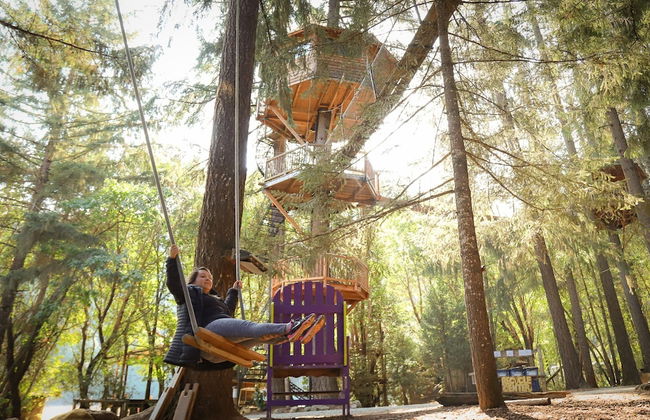 Out 'N' About Treehouse Treesort - Foto 60