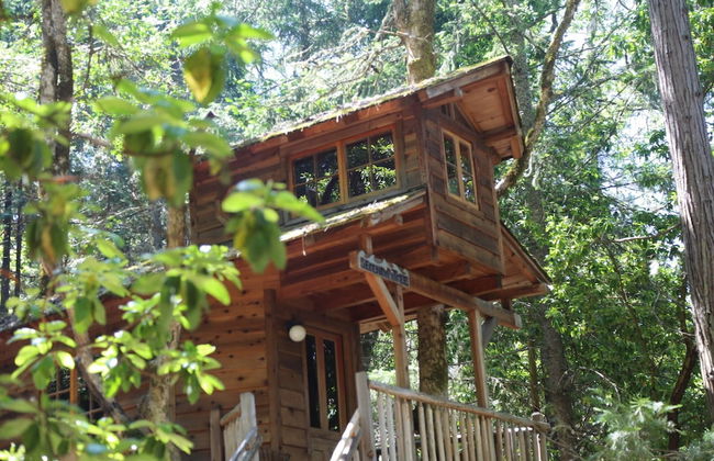 Out 'N' About Treehouse Treesort - Foto 13