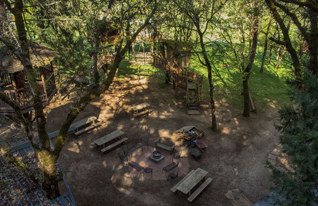 Out 'N' About Treehouse Treesort - Foto 61