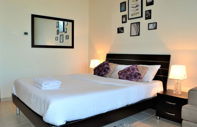 MCLN - Spacious Furnished Studio - Photo 10