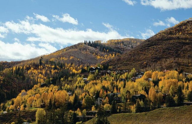 Aspen at Streamside at Vail - Foto 39