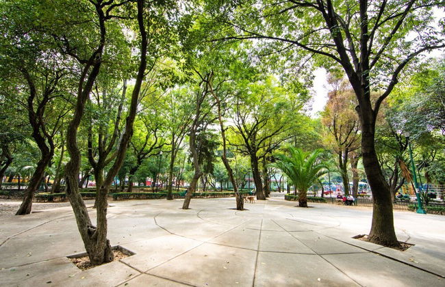 Cozy and Stylish Apartment Near Polanco - Foto 13
