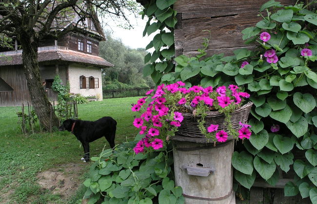 Ethno Village Stara Lonja - Foto 21
