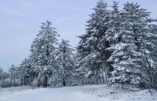 Wohnung in der Nahe des Skigebietes in Diemelsee - Foto 23