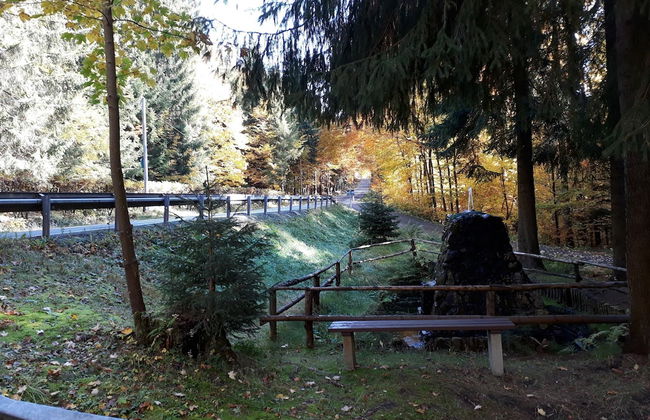 Apartment in Rittersgrun Near Ski Slopes - Foto 42