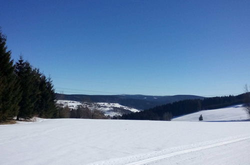 Foto 42 - Cozy Apartment in Ore Mountains With Balcony