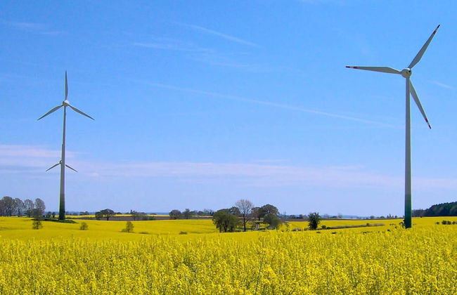 Holiday Home in Grömmitz - Foto 5