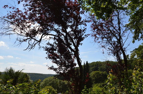 Photo 21 - Romantic Mansion in Strotzbusch by the Forest