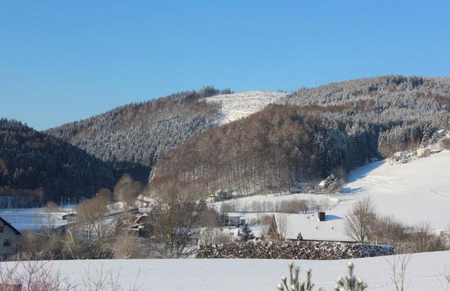 Lovely Apartment with Balcony in Willingen near Ski Lift - Foto 34
