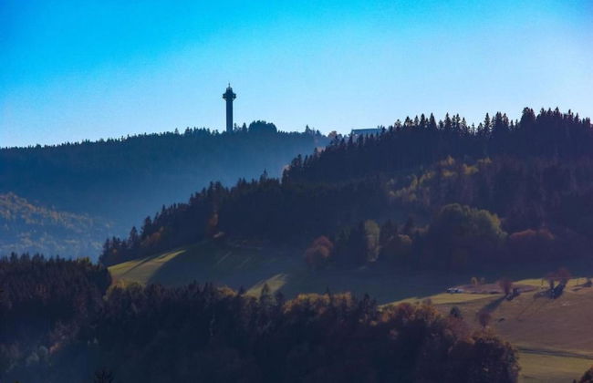 Lovely Apartment with Balcony in Willingen near Ski Lift - Foto 30